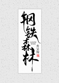 钢铁森林电视剧免费看